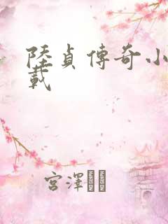 陆贞传奇小说下载