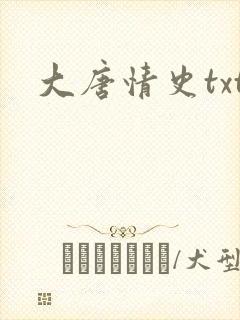 大唐情史txt