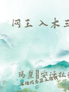 网王 入木三分