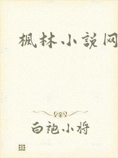 枫林小说网