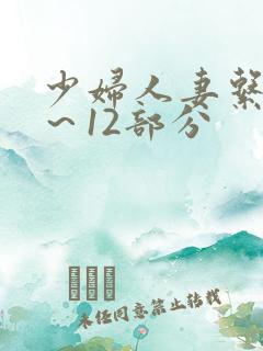 少妇人妻系列1～12部分