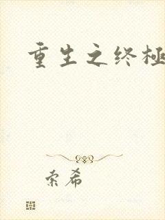 重生之终极杀手