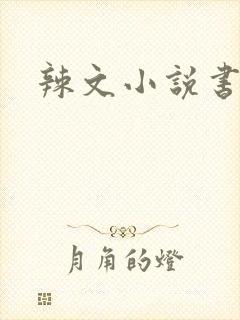 辣文小说书包网