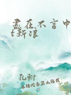 尽在不言中txt新浪