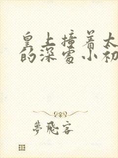 皇上撞着太子妃的深处小初