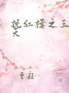 挽红楼之玉舞九天