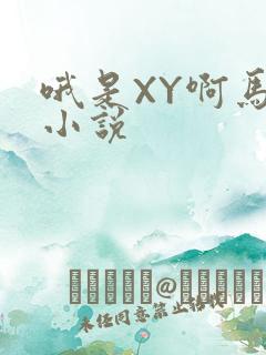 哦是XY啊马仔小说