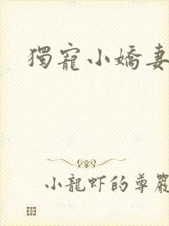 独宠小娇妻
