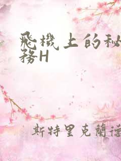 飞机上的秘密服务H
