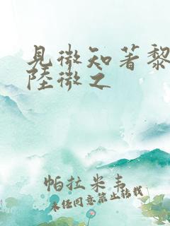 见微知著黎见卿陆微之