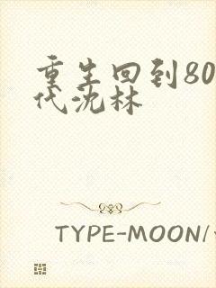 重生回到80年代沈林