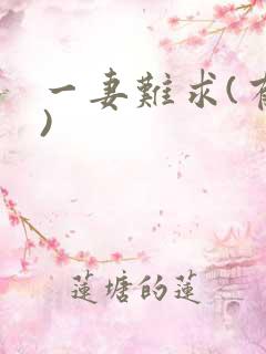 一妻难求(有肉)