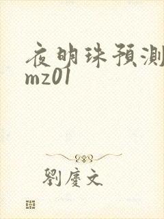 夜明珠预测 ymz01