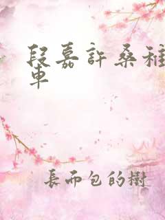 段嘉许桑稚浴室车