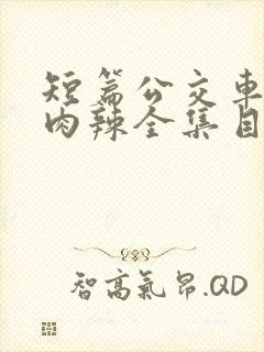 短篇公交车高h肉辣全集目录