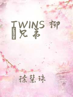 TWINS 柳澤兄弟