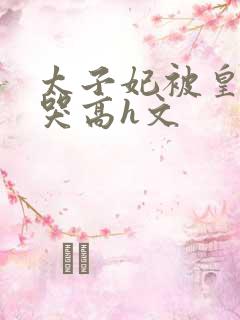 太子妃被皇上c哭高h文