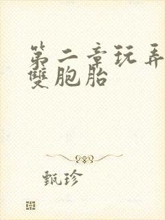 第二章玩弄少妇双胞胎