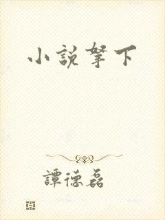 小说拿下