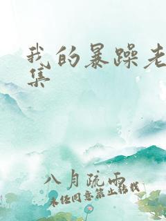 我的暴躁老妈全集