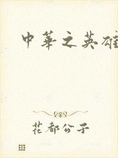 中华之英雄无敌