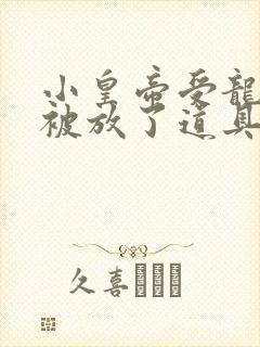 小皇帝受龙椅上被放了道具