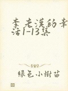 李老汉的幸福生活1-13集