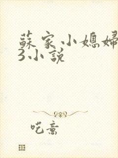 苏家小媳妇1V3小说