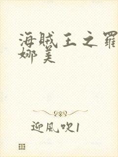 海贼王之罗宾h娜美