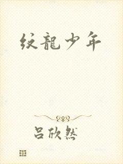 纹龙少年