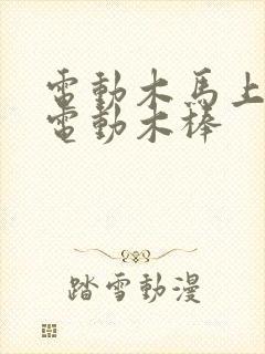 电动木马上两个电动木棒