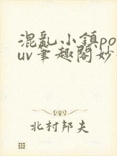 混乱小镇popuv笔趣阁妙妙