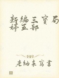 新编三宝局长许婷五部