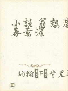 小说 翁想房中春意浓