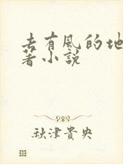 去有风的地方原著小说