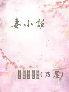 妻小说