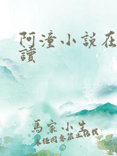 阿潼小说在线阅读