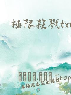 极限杀戮txt