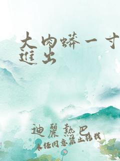 大肉蟒一寸一寸进出