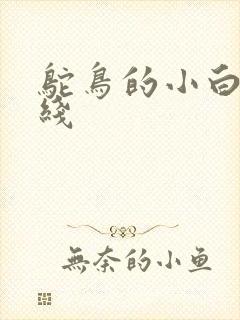 鸵鸟的小白脸路线