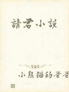 请君小说