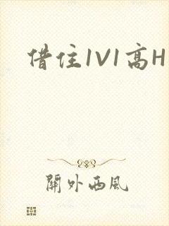 借住1V1高H