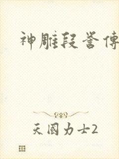 神雕段誉传