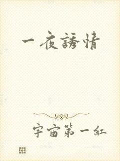 一夜诱情