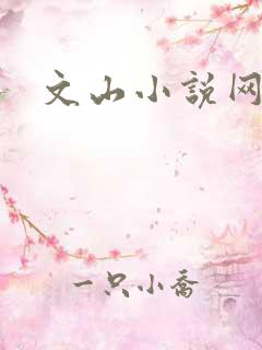 文山小说网