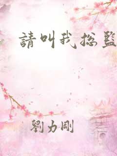 请叫我总监小说