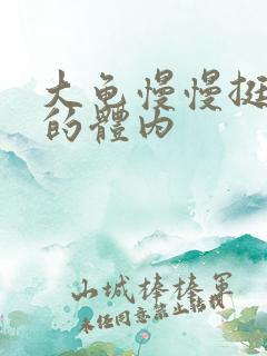 大龟慢慢挺进我的体内