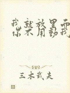 我就放里面不动你不用动我动