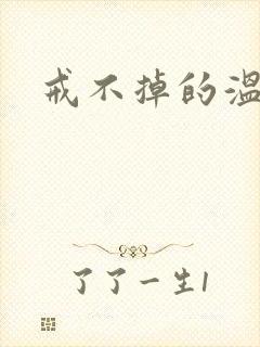 戒不掉的温柔