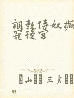 调教侍奴撅臀男宠后宫